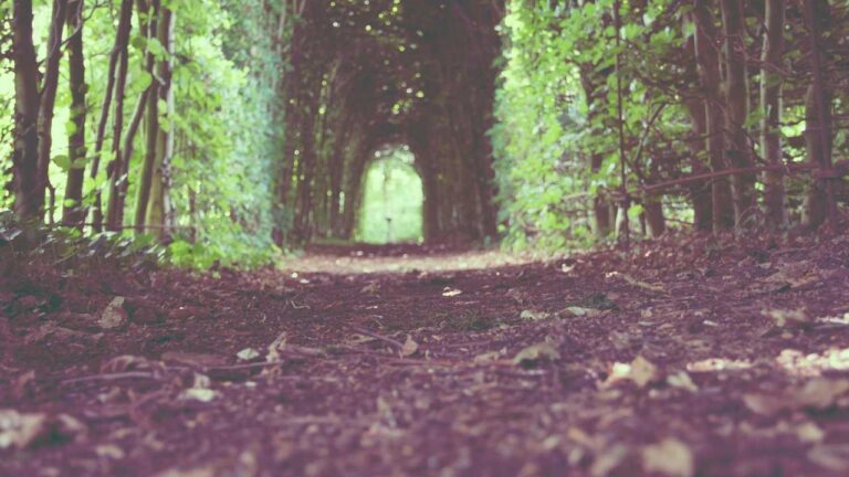 How To Fix 99Exch Website Problem During Login?