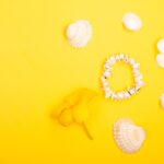 Reddybook Review: Transforming Digital Publishing & How 11xplay Enhances Online Access